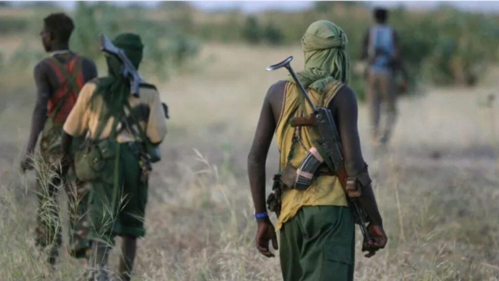 Farmland in Borno State where a teenage farmer was killed during a clash with a herder